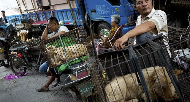 Covid-19: Trung Quốc báo cáo số ca mới tăng vọt, Indonesia có mức tăng kỷ lục