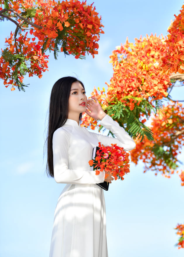 Á khôi Hoa khôi Tài sắc Việt Nam rực rỡ bên hoa phượng ảnh 5 Á khôi Hoa khôi Tài sắc Việt Nam rực rỡ bên hoa phượng ảnh 5