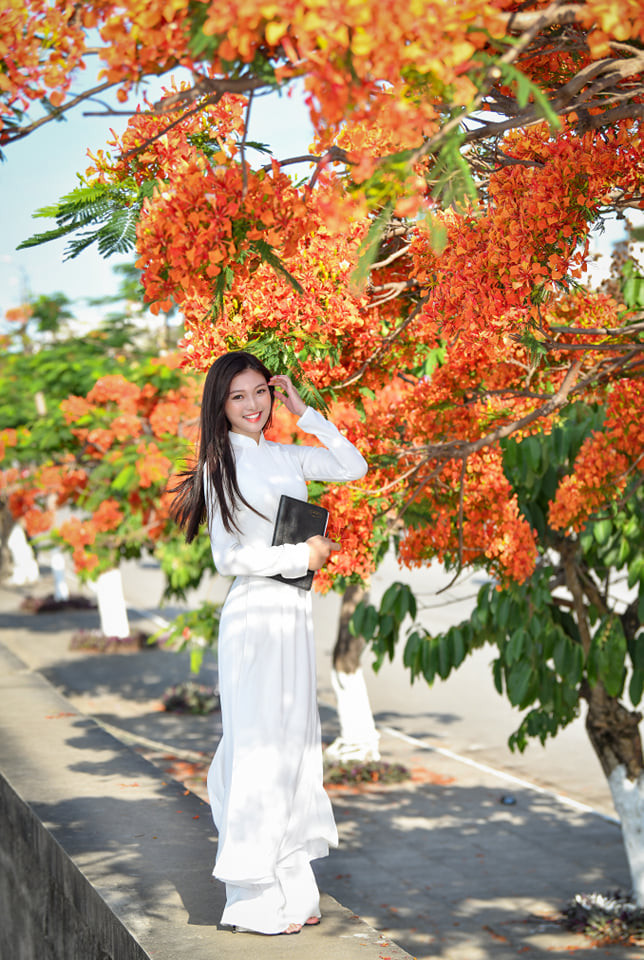 Á khôi Hoa khôi Tài sắc Việt Nam rực rỡ bên hoa phượng ảnh 3 Á khôi Hoa khôi Tài sắc Việt Nam rực rỡ bên hoa phượng ảnh 3