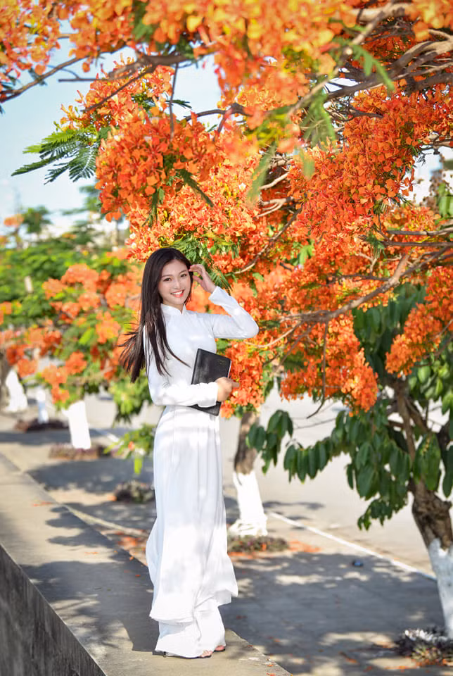 Á khôi Hoa khôi Tài sắc Việt Nam rực rỡ bên hoa phượng ảnh 3