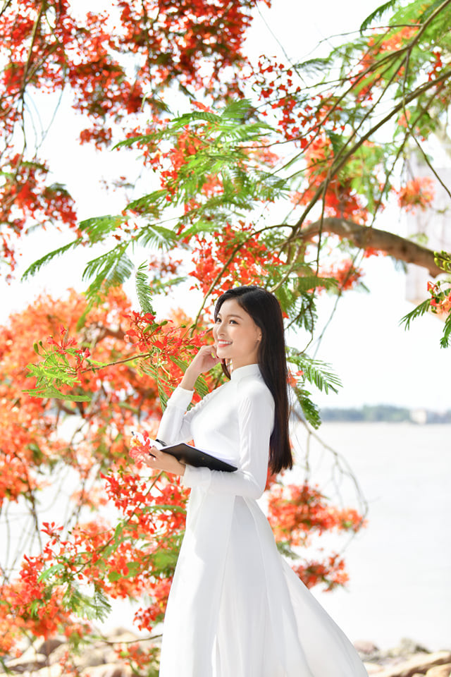 Á khôi Hoa khôi Tài sắc Việt Nam rực rỡ bên hoa phượng ảnh 9 Á khôi Hoa khôi Tài sắc Việt Nam rực rỡ bên hoa phượng ảnh 9