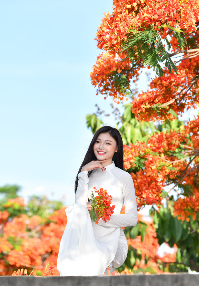 Á khôi Hoa khôi Tài sắc Việt Nam rực rỡ bên hoa phượng ảnh 1 Á khôi Hoa khôi Tài sắc Việt Nam rực rỡ bên hoa phượng ảnh 1