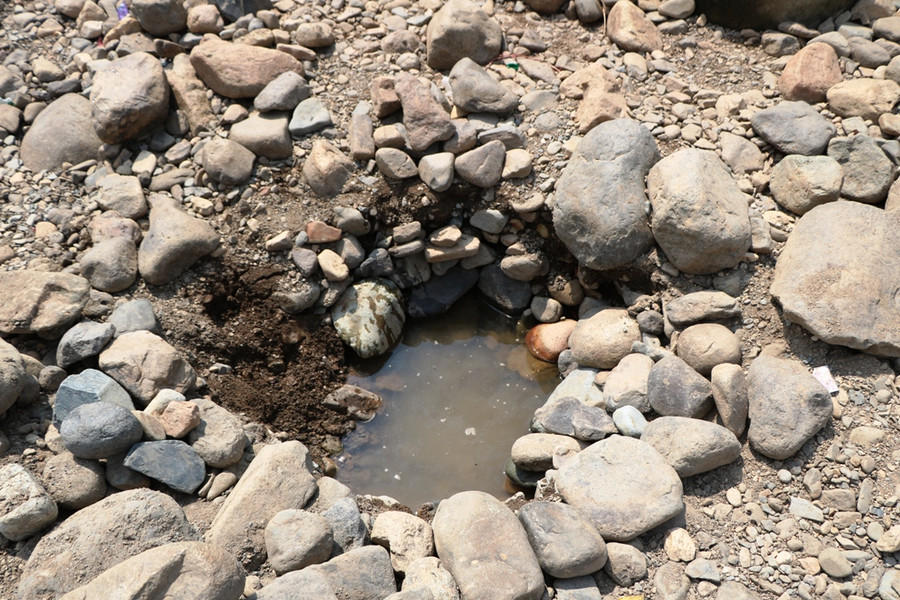 Ninh Thuận trong cơn hạn nặng, người dân vùng cao ra suối “cõng” nước ảnh 2