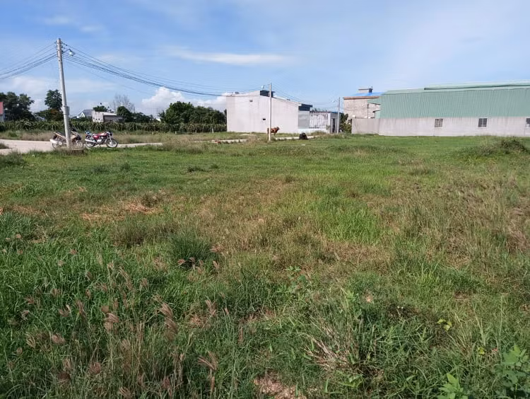 Bình Thuận: Nguyên Chủ tịch UBND TP Phan Thiết sắp hầu tòa do vi phạm về quản lý đất đai. ảnh 1