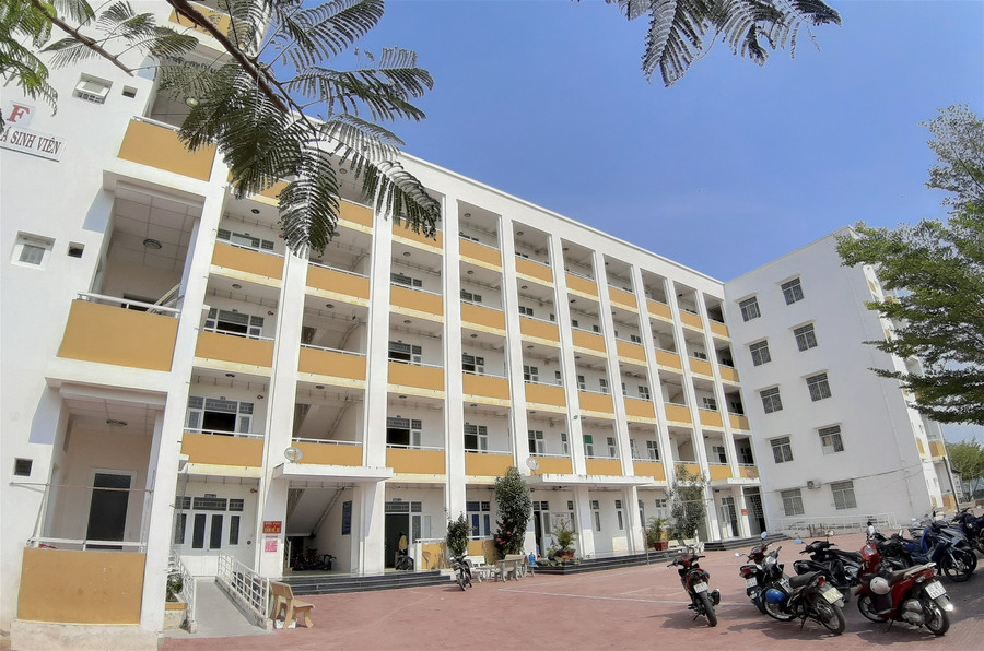 Ninh Thuận: Thầy, cô giáo hối hả dọn ký túc xá làm khu cách ly tập trung ảnh 12 Ninh Thuận: Thầy, cô giáo hối hả dọn ký túc xá làm khu cách ly tập trung ảnh 12