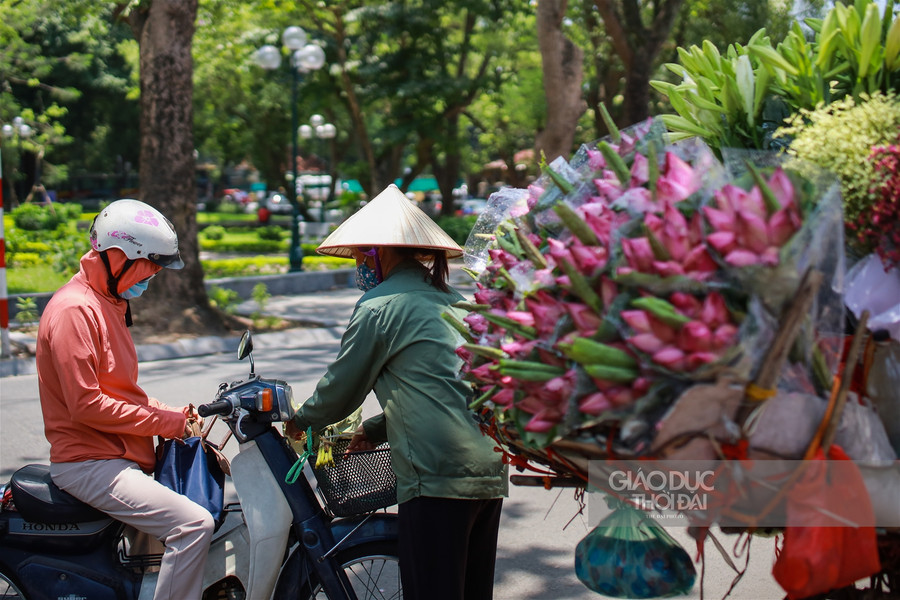 Ngẩn ngơ mùa sen trong phố ảnh 8