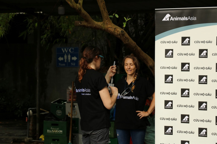 Cứu hộ 2 cá thể gấu ngựa bị nhốt 20 năm trong lồng sắt ảnh 6