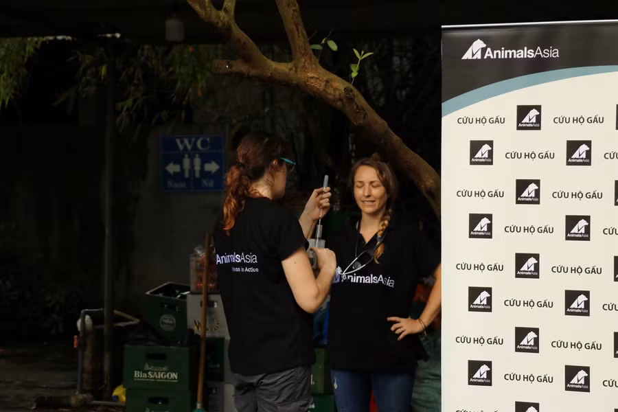 Cứu hộ 2 cá thể gấu ngựa bị nhốt 20 năm trong lồng sắt ảnh 6