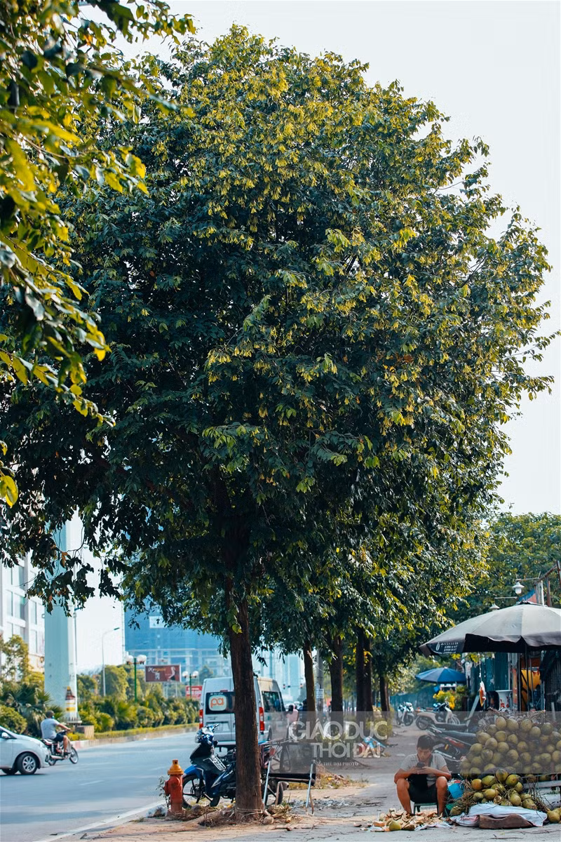 Một thoáng Sài Gòn giữa lòng Hà Nội ảnh 7