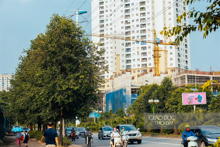 Một thoáng Sài Gòn giữa lòng Hà Nội ảnh 1