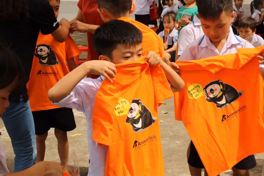 Thú vị những ý tưởng bảo vệ gấu của học sinh tiểu học Hà Nội ảnh 8