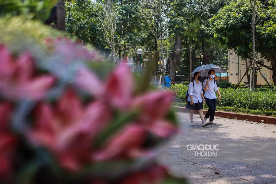 Ngẩn ngơ mùa sen trong phố ảnh 14