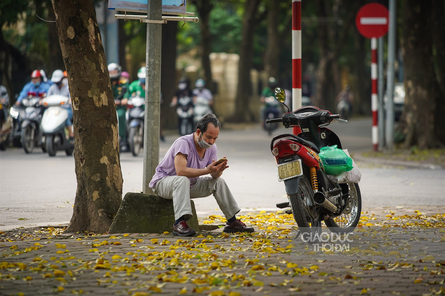 Hà thành đẹp mơ màng mùa sấu già trút lá ảnh 9
