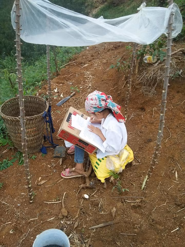 Lớp học trên đồi mây ảnh 1