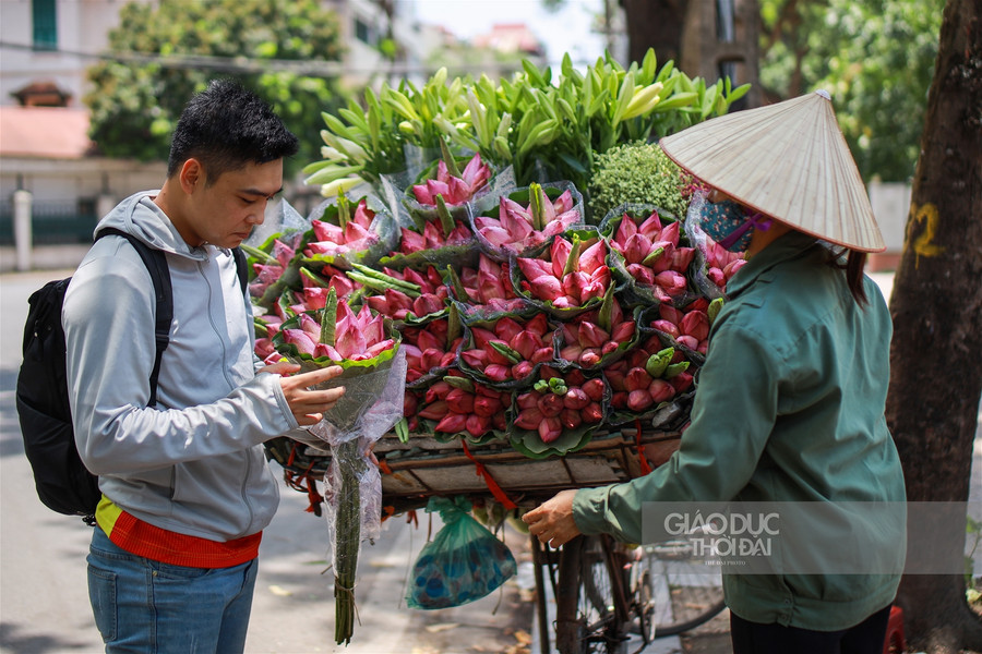 Ngẩn ngơ mùa sen trong phố ảnh 15