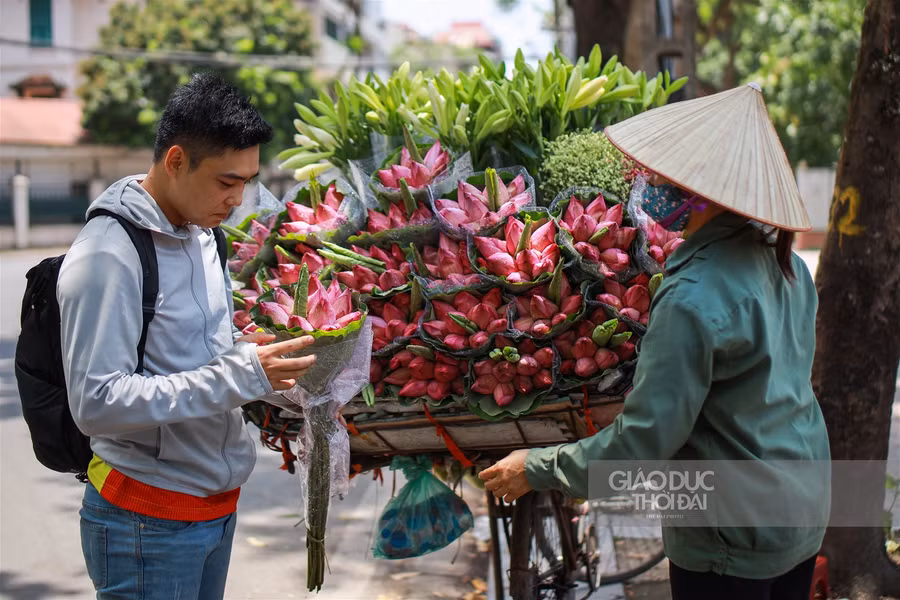 Ngẩn ngơ mùa sen trong phố ảnh 15