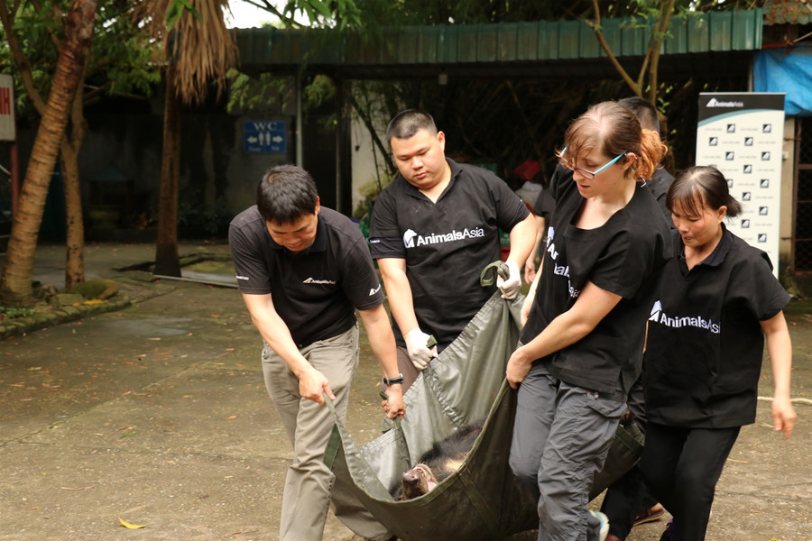 Cứu hộ 2 cá thể gấu ngựa bị nhốt 20 năm trong lồng sắt ảnh 7