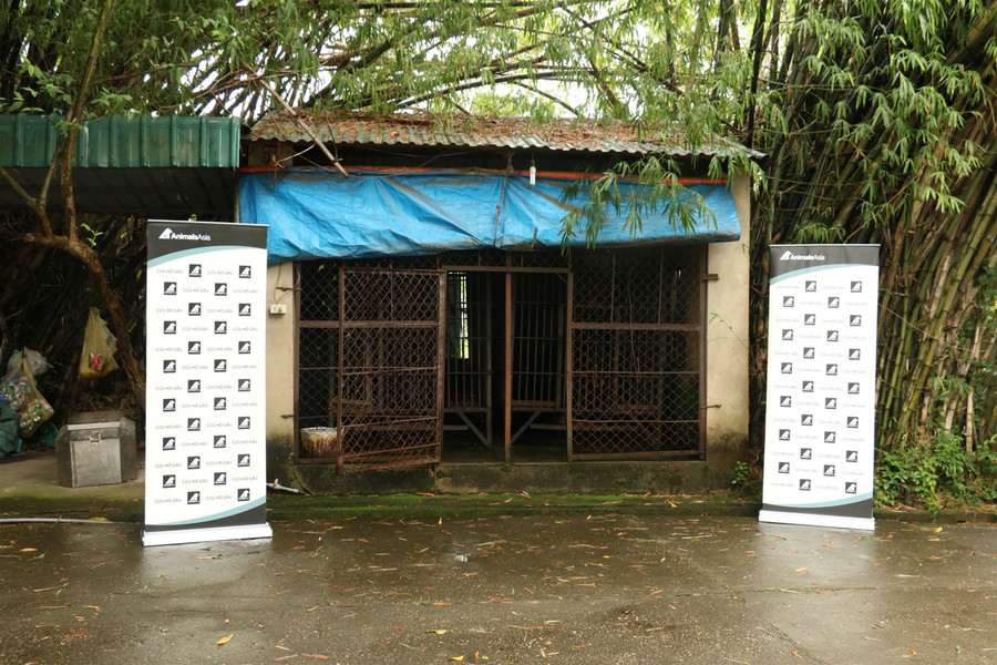 Cứu hộ 2 cá thể gấu ngựa bị nhốt 20 năm trong lồng sắt ảnh 1