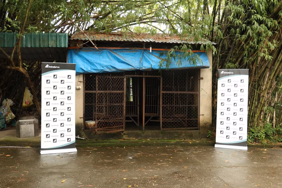 Cứu hộ 2 cá thể gấu ngựa bị nhốt 20 năm trong lồng sắt ảnh 1