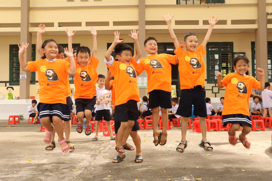 Thú vị những ý tưởng bảo vệ gấu của học sinh tiểu học Hà Nội ảnh 7