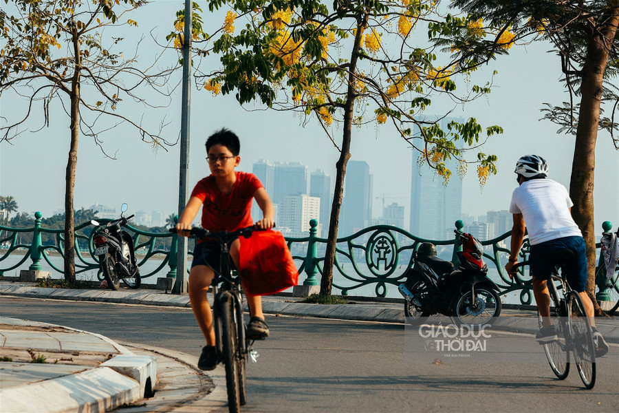 Muồng hoàng yến nhuộm vàng Hà Nội những ngày tháng 5 ảnh 8 Muồng hoàng yến nhuộm vàng Hà Nội những ngày tháng 5 ảnh 8