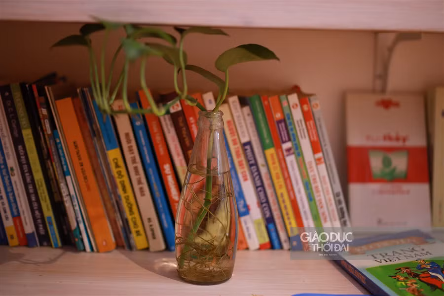 Khám phá thư viện miễn phí giữa lòng Hà Nội ảnh 2