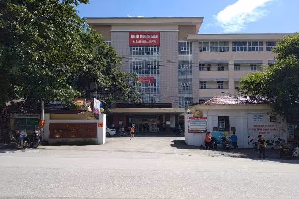 Hà Giang: Ăn nhầm lá ngón, 3 người tử vong ảnh 1