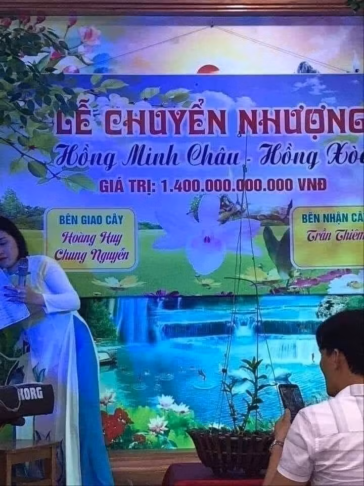 Mua bán lan đột biến hàng nghìn tỉ đồng, Cục Quản lý thị trường nói gì? ảnh 1