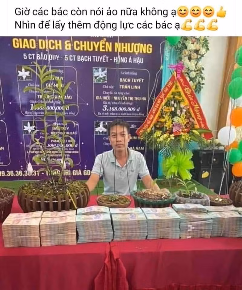 Mua bán lan đột biến hàng nghìn tỉ đồng, Cục Quản lý thị trường nói gì? ảnh 2