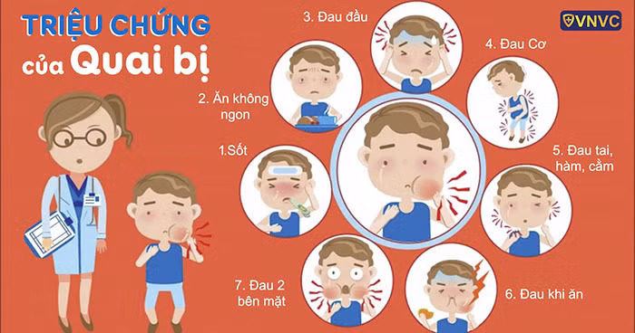 Viêm tinh hoàn do quai bị có thể dẫn tới vô sinh ảnh 1