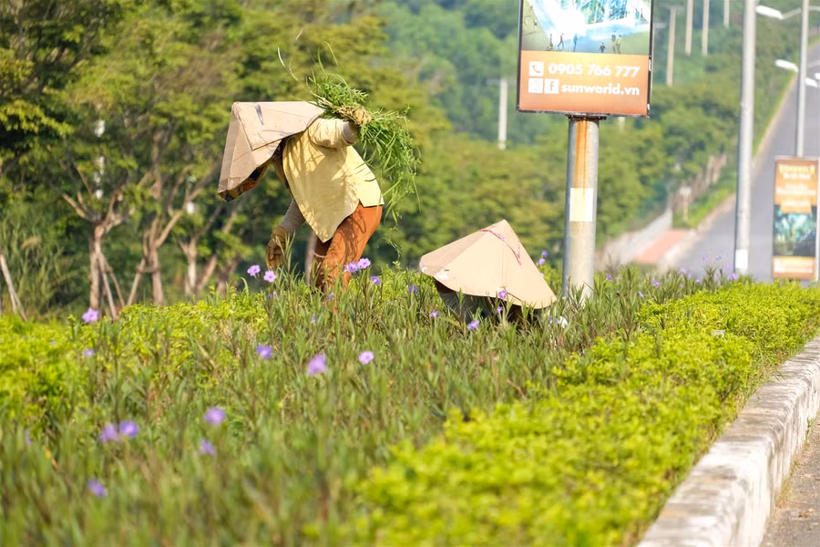 Người dân Đà Nẵng tìm cách “trốn” nắng nóng ảnh 1