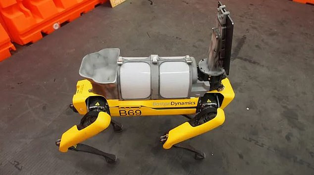 Mỹ: Chó robot tham gia phòng chống Covid-19 ảnh 2 Mỹ: Chó robot tham gia phòng chống Covid-19 ảnh 2