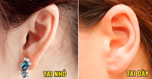 Dấu hiệu xuất hiện trên đôi tai cho thấy bạn sẽ sống trường thọ, tiền bạc dư dả