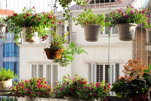 4 vật tán lộc không nên đặt ở ban công