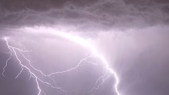 Hy hữu: Sét đánh trúng ao, hàng tấn cá chết nổi trên mặt nước