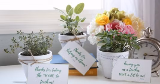 Những loại hoa, cây cảnh phù hợp để mừng thọ, khai trương