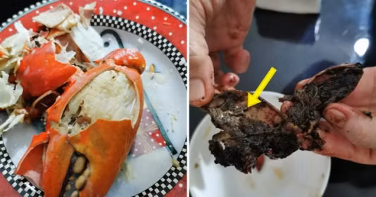 Bỏ tiền triệu ra mua 3 con cua đãi mẹ, cô gái nhận về thứ "nổi da gà"