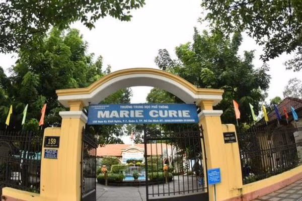 Trường học ở Sài Gòn "choáng" vì phải chi hơn 200 triệu cắt tỉa cây xanh