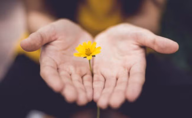  Bí mật của người giàu khiến "tiền đẻ ra tiền" 