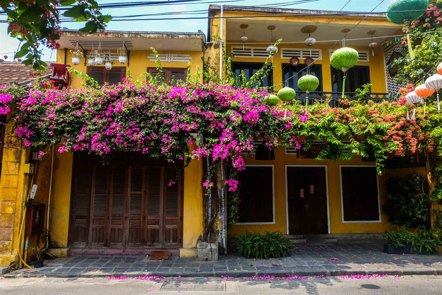 Phố cổ Hội An trong những ngày "sống chậm" ảnh 3