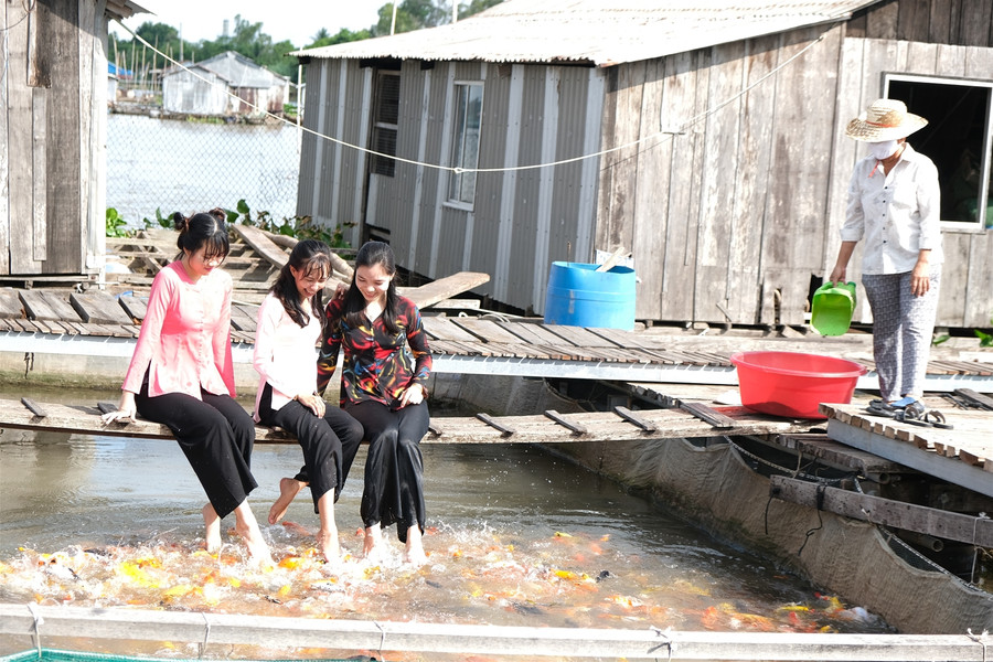 Du lịch miệt vườn phục hồi bằng sản phẩm mới ảnh 1