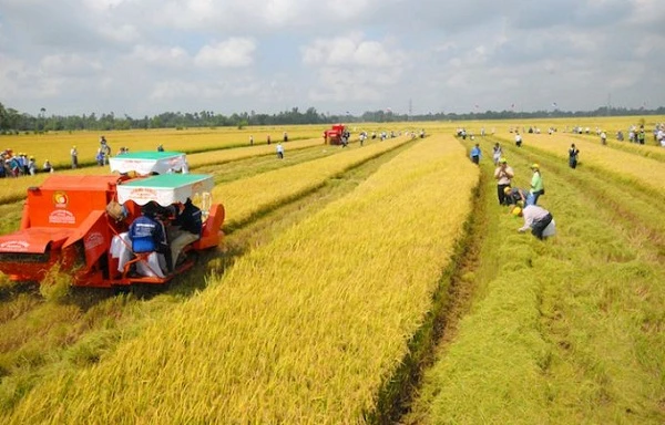 Đại biểu Quốc hội đồng tình với chủ trương miễn thuế đất nông nghiệp