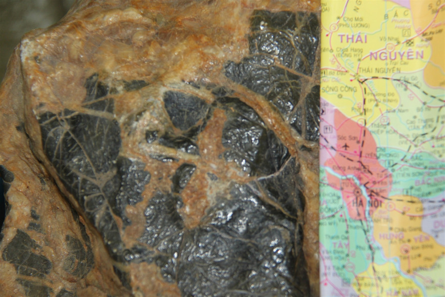 Lời đồn về “cục đá thần” có giá 2 tỷ ảnh 1