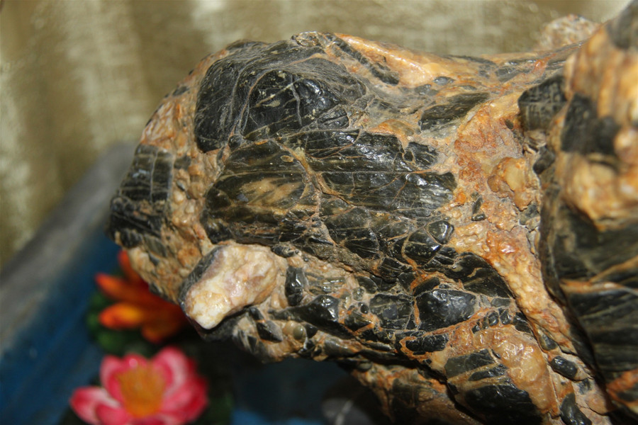 Lời đồn về “cục đá thần” có giá 2 tỷ ảnh 3