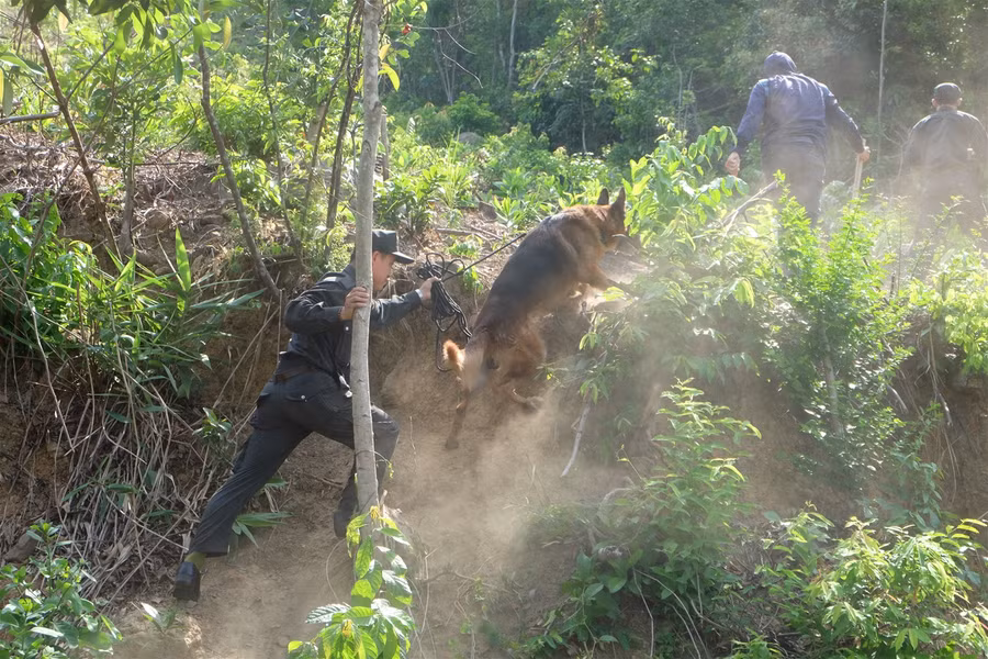 Mở rộng phạm vi truy tìm đối tượng trốn trại giam ảnh 1