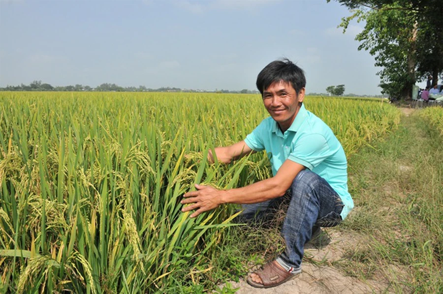 “Bí kíp” bón phân cho cây bằng trứng gà, sữa tươi