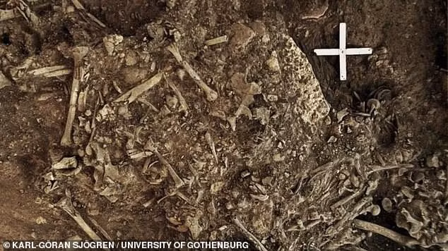 Phát hiện sinh vật gây ám ảnh trong mộ cổ cô gái 5.000 tuổi