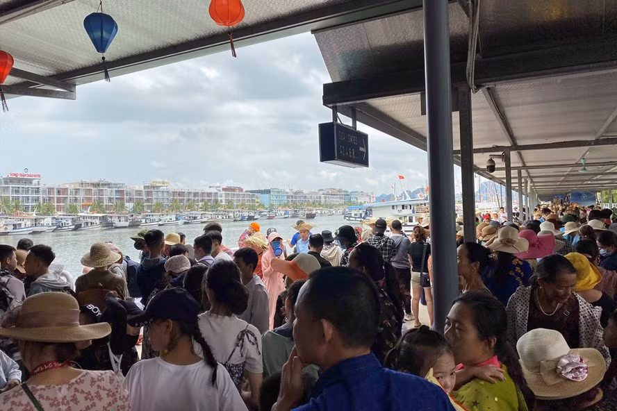 Khách thăm vịnh Hạ Long tăng đột biến, du lịch Quảng Ninh sôi động lại