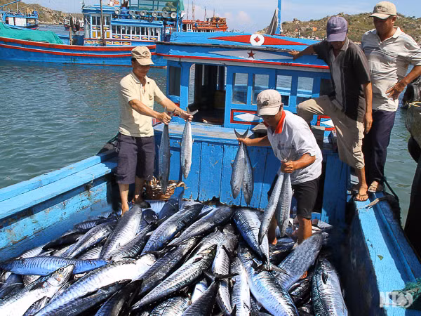 Phát triển kinh tế biển – xu thế tất yếu của quốc gia ảnh 1