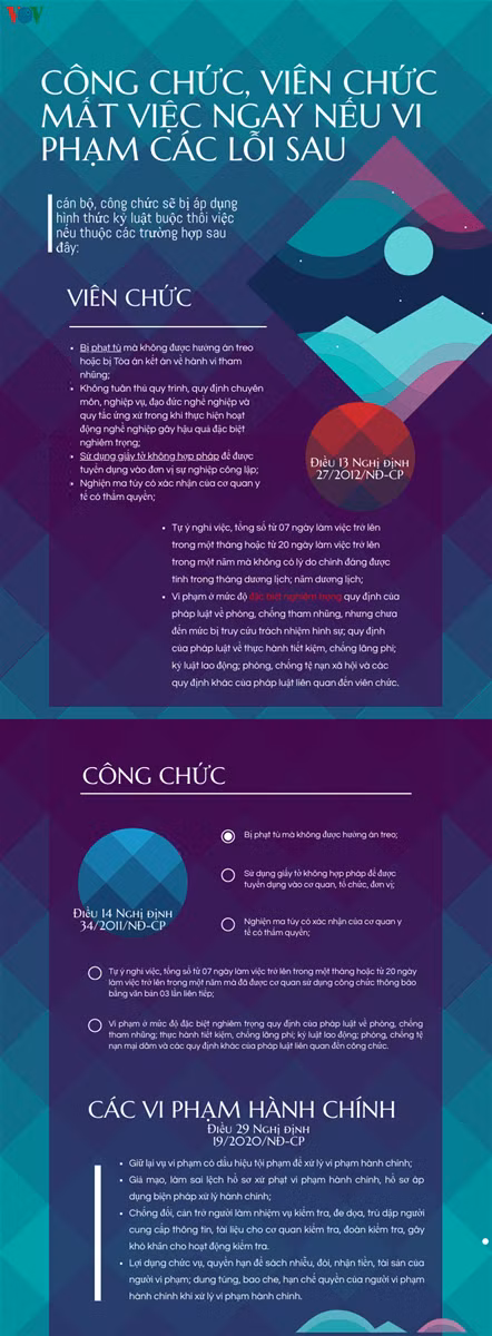 Công chức, viên chức mất việc ngay nếu vi phạm các lỗi sau ảnh 1